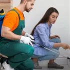 Business 1 image ECOGUARD PEST CONTROL BRISBANE Pest Control in Brisbane QLD