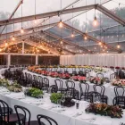 Business 6 image ELEGANT CHAIR EVENTS Party Equipment Hire in Baldivis WA