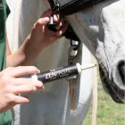 Business 5 image EQUIDAE BOTANICAL HORSE CARE seedy toe treatment in Brendale QLD
