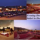 Business 1 image EVENING DESERT SAFARI Travel Agency in Hobart TAS