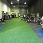 Business 1 image EVOLVE TRAINING SYSTEMS Personal Trainers & Fitness Training in Bayswater North VIC