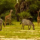 Business 2 image EXOTIC TRAVEL CLUB Travel Clubs in Melbourne VIC