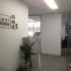 Business 3 image EXPATLAWYERS Sydney Immigration Lawyer in Sydney NSW