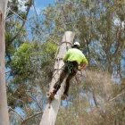 Business 1 image EXTERNALS LANDSCAPE SERVICES Landscaping & Landscape Design in Perth WA
