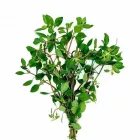 Business 3 image EZ AQUARIUMS Aquarium Shop in Epping VIC