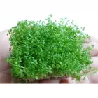 Business 4 image EZ AQUARIUMS Aquarium Shop in Epping VIC