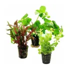 Business 5 image EZ AQUARIUMS Aquarium Shop in Epping VIC