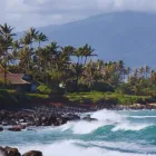 Business 7 image EZY TRAVELLERS Travel Agents in Surry Hills NSW