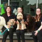 Business 4 image FAMILYPET VET MCLAREN VALE Vets & Veterinary Surgeons in McLaren Vale SA