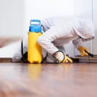 Business 2 image FAST PEST CONTROL PERTH Pest Control in Perth WA