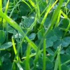 Business 1 image FEEDTEST Yeast & Mould in Werribee VIC