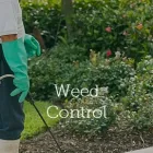 Business 1 image FERGO'S LAWN CARE Weed Control Services in Hamilton NSW