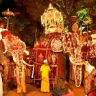 Business 1 image FERNANDO TRAVELS - SRI LANKA TOURS & TRAVELS Victoria in Dandenong VIC