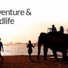 Business 5 image FERNANDO TRAVELS - SRI LANKA TOURS & TRAVELS Victoria in Dandenong VIC