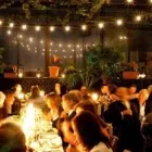 Business 2 image FESTOON HOUSE Wedding Lights in Sydney NSW