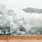 Business 3 image FIRE CRUNCH Fire Resistant Materials & Supplies in Claremont WA