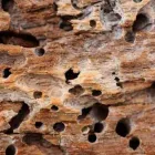 Business 7 image FIRE CRUNCH Fire Resistant Materials & Supplies in Claremont WA