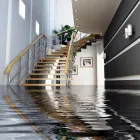 Business 4 image FIRST CALL RESTORATION CREW Wood Floor Restoration in Sydney NSW