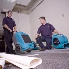 Business 10 image FIRST CALL RESTORATION CREW Wood Floor Restoration in Sydney NSW