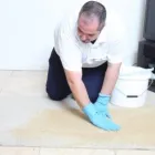 Business 1 image FIRST CARPET CLEANING MELBOURNE Window Cleaning in Melbourne VIC