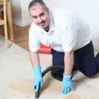 Business 4 image FIRST CARPET CLEANING MELBOURNE Window Cleaning in Melbourne VIC