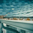 Business 2 image FIRSTCHOICEGUTTERSERVICES Window Cleaning in Sydney NSW