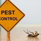 Business 4 image FLEA CONTROL ADELAIDE Pest Control in Adelaide SA