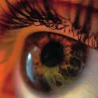Business 2 image FLOATER LFT Optometrist in Adelaide SA