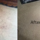 Business 3 image FLOOD DAMAGE RESTORATION ADELAIDE Carpet Cleaning & Protection in Adelaide SA