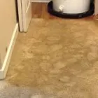 Business 3 image FLOOD DAMAGE RESTORATION BRISBANE Home Cleaning in Brisbane QLD