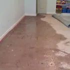 Business 1 image FLOOD DAMAGE RESTORATION CANBERRA Carpet Cleaning & Protection in Belconnen ACT