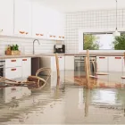Business 1 image FLOOD DAMAGE RESTORATION CASTLE HILL Water Damage Restoration in Castle Hill NSW