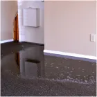 Business 2 image FLOOD DAMAGE RESTORATION MELBOURNE Home Cleaning in Melbourne VIC
