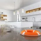 Business 1 image FLOOD DAMAGE RESTORATION PHILLIP Wet Carpet Cleaning in Chifley ACT