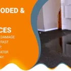 Business 1 image FLOOD WATER DAMAGE RESTORATION SYDNEY Pressure & Steam Cleaning Equipment in Sydney NSW