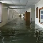 Business 6 image FLOOD WATER DAMAGE RESTORATION SYDNEY Pressure & Steam Cleaning Equipment in Sydney NSW