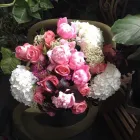 Business 1 image FLOWERLANE & CO Weddings in Alexandria NSW