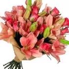 Business 1 image FLOWERS ACROSS MELBOURNE Same Day Flowers in Melbourne VIC