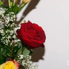 Business 2 image FLOWERS FOR DELIVERY Flowers Online Delivery in Sydney NSW