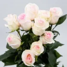 Business 1 image FLOWERS WA - PERTH Wholesaler in West Leederville WA