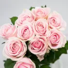 Business 2 image FLOWERS WA - PERTH Wholesaler in West Leederville WA