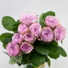 Business 18 image FLOWERS WA - PERTH Wholesaler in West Leederville WA