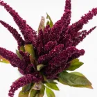 Business 22 image FLOWERS WA - PERTH Wholesaler in West Leederville WA