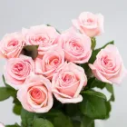 Business 30 image FLOWERS WA - PERTH Wholesaler in West Leederville WA