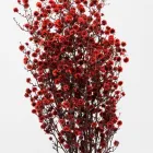 Business 31 image FLOWERS WA - PERTH Wholesaler in West Leederville WA