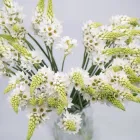 Business 37 image FLOWERS WA - PERTH Wholesaler in West Leederville WA