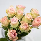 Business 39 image FLOWERS WA - PERTH Wholesaler in West Leederville WA