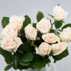 Business 45 image FLOWERS WA - PERTH Wholesaler in West Leederville WA