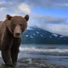 Business 1 image FOTO WORK SHOPS Professional Services in Erina NSW