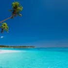 Business 3 image FOTO WORK SHOPS Professional Services in Erina NSW